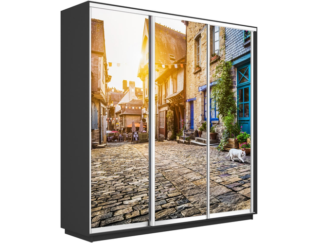 Шкаф-купе Экспресс Люкс 3-х дверный (Фото №1022 Улица), Серый диамант